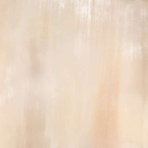Керамогранит Roberto Cavalli Tanduk Conchiglia Rett. 556816, цвет бежевый, поверхность матовая, квадрат, 600x600
