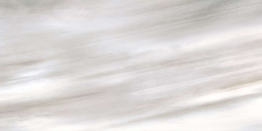 Керамогранит Roberto Cavalli Tanduk Grigio Rett. 556731, цвет серый, поверхность матовая, прямоугольник, 600x1200