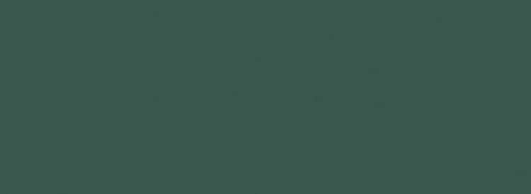 Керамическая плитка Maciej Zien Boho Fashion Green, цвет зелёный, поверхность матовая, прямоугольник, 330x900