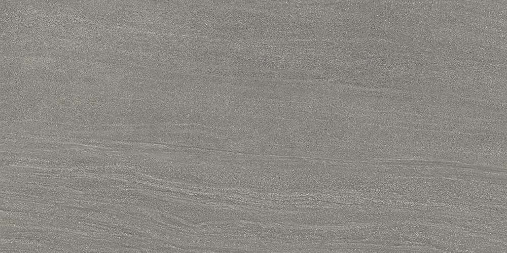 Керамогранит Ergon Elegance Pro Dark Grey Naturale EJZR, цвет серый, поверхность натуральная, прямоугольник, 300x600