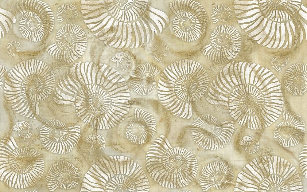 Декоративные элементы Terracotta Shell Ammonite TD-SH-D-AM, цвет бежевый, поверхность глянцевая, прямоугольник, 250x400