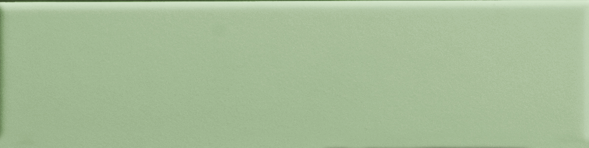 Керамическая плитка 41zero42 Biscuit Plain Salvia 4100691, цвет зелёный, поверхность матовая, под кирпич, 50x200