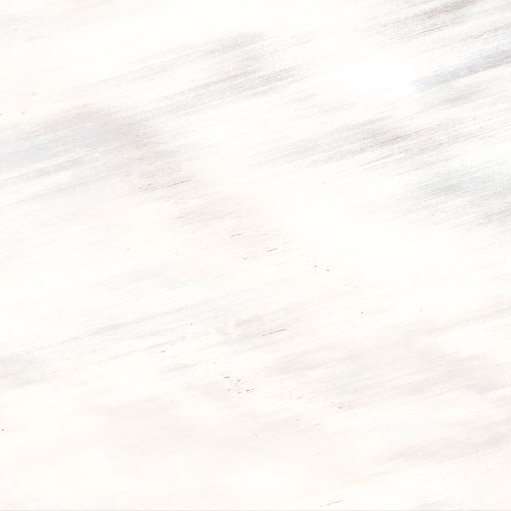Керамогранит Roberto Cavalli Tanduk Bianco Lapp. 556803, цвет белый, поверхность лаппатированная, квадрат, 600x600