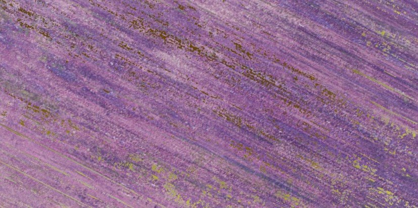 Керамогранит Brennero Ametista Solenne 30, цвет фиолетовый, поверхность лаппатированная, прямоугольник, 300x600