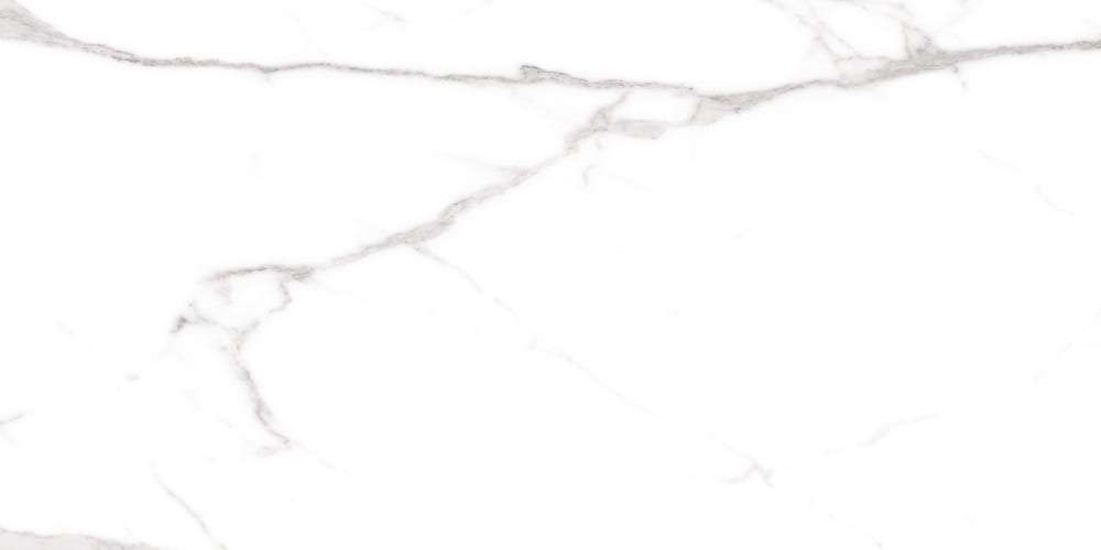 Керамогранит Cerdomus Omnia Stauario Levigato 88931, цвет белый серый, поверхность лаппатированная, прямоугольник, 600x1200