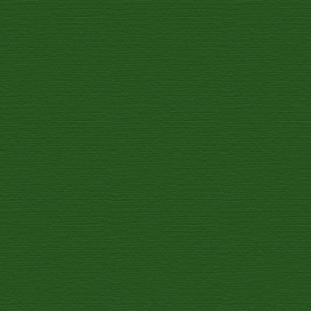 Керамогранит Ce.Si Antislip Gera, цвет зелёный, поверхность матовая, квадрат, 100x100