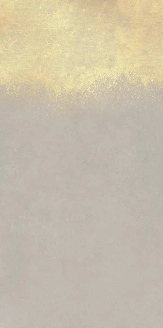 Декоративные элементы La Faenza Vis VIS6 DK 240AG, цвет серый золотой, поверхность матовая, прямоугольник, 1200x2400