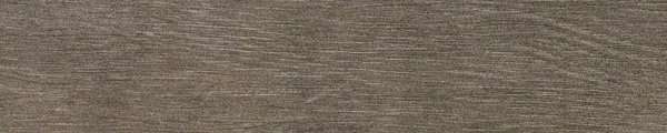 Керамогранит Ariostea Legni Rovere Tundra PAR20380, цвет серый, поверхность матовая, квадрат, 200x1200