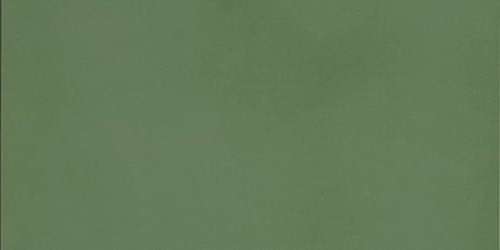 Керамогранит Casalgrande Padana R-Evolution Green, цвет зелёный, поверхность матовая, прямоугольник, 600x1200