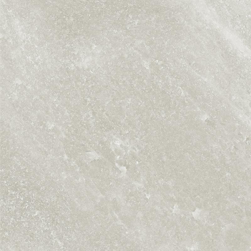 Керамогранит Provenza Salt Stone Grey Ash Naturale ELU8, цвет серый, поверхность натуральная, квадрат, 800x800