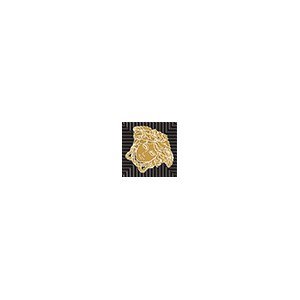 Вставки Versace Meteorite Toz.Medusa Lap Moka/Oro 47314, цвет коричневый золотой, поверхность лаппатированная, квадрат, 27x27
