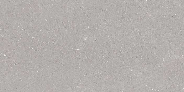 Керамогранит Porcelanosa Adda Silver C-2 100310947, цвет серый, поверхность матовая, прямоугольник, 297x596