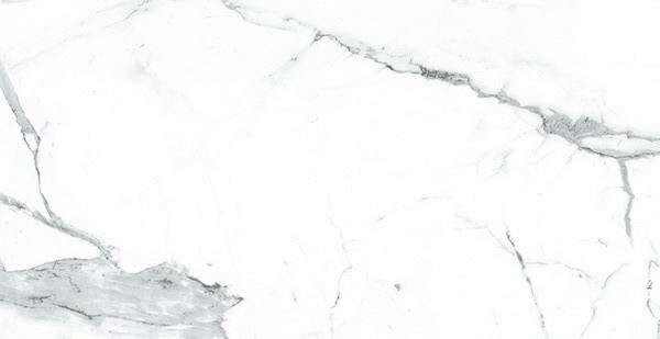 Керамогранит Grifine Ceramics Caraca White ND612101MB, цвет белый, поверхность матовая, прямоугольник, 600x1200