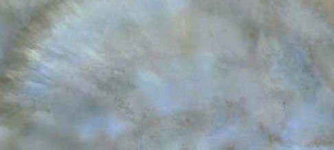 Керамогранит Roberto Cavalli Bright Pearl Rainbow Rett. 531461, цвет голубой, поверхность матовая, прямоугольник, 800x1800