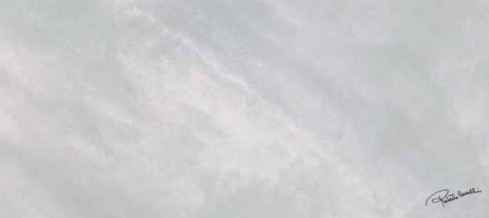 Декоративные элементы Roberto Cavalli Bright Pearl Snow Firma Rett. 531103, цвет серый, поверхность матовая, прямоугольник, 800x1800
