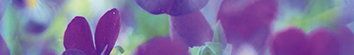 Бордюры Муза-Керамика Sweet Home B300D241, цвет фиолетовый, поверхность глянцевая, прямоугольник, 45x300