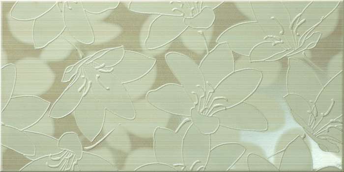 Керамическая плитка Aranda Decor Club, цвет бежевый, поверхность глянцевая, прямоугольник, 250x500