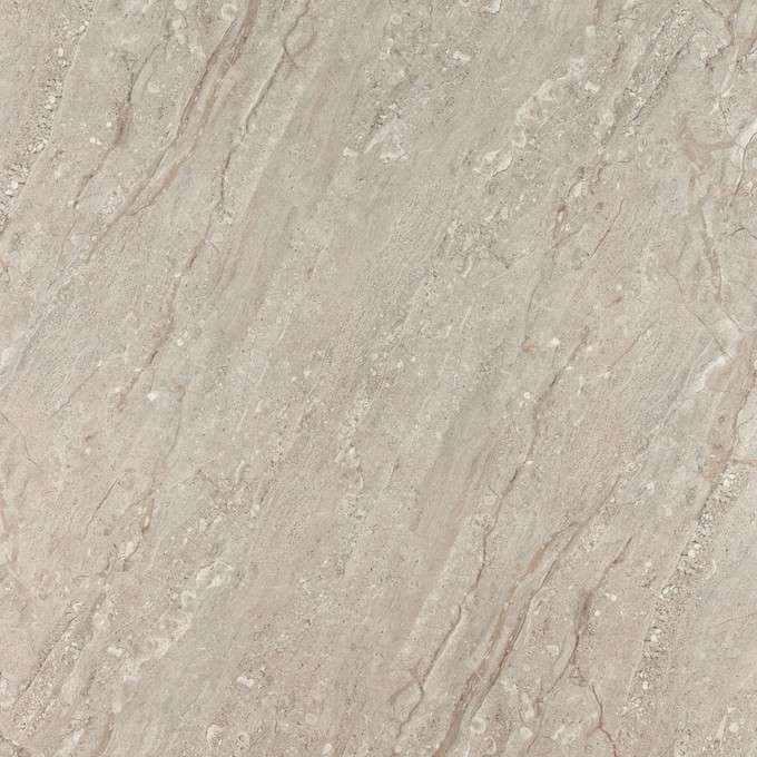 Керамогранит Kutahya Arma Anthracite, цвет серый, поверхность полированная, квадрат, 800x800