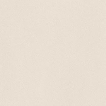 Керамогранит Imola Parade PRTU 60W RM, цвет белый, поверхность матовая, квадрат, 600x600