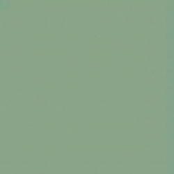 Вставки Topcer Victorian Designs D28-1Ch Light Green Dot, цвет зелёный, поверхность матовая, квадрат, 29x29