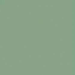 Вставки Topcer Victorian Designs D28-1Ch Light Green Dot, цвет зелёный, поверхность матовая, квадрат, 29x29