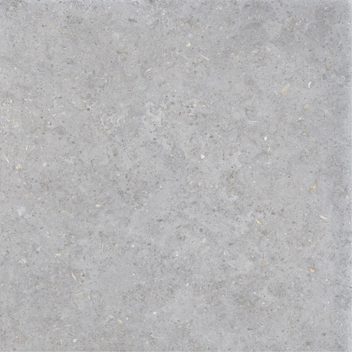 Керамогранит La Fabbrica Agglomerate Agate Nat/Ret 160033, цвет серый, поверхность матовая, квадрат, 800x800