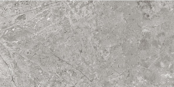 Керамогранит Нефрит керамика Брилон 00-00-5-10-01-06-1002, цвет серый, поверхность матовая, прямоугольник, 250x500