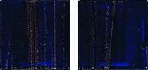 Мозаика JNJ Mosaic Gold Link GC 61, цвет синий, поверхность глянцевая, квадрат, 200x200