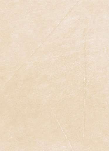 Керамическая плитка Cinca Pulsar Beige 8175, цвет бежевый, поверхность матовая, прямоугольник, 250x330