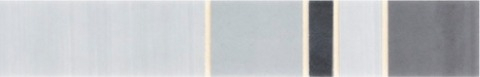 Бордюры Cinca Evora Grey Diana 0000/348, цвет серый, поверхность матовая, прямоугольник, 40x250