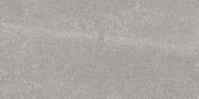 Керамогранит Vives Aston Gris, цвет серый, поверхность матовая, прямоугольник, 300x600