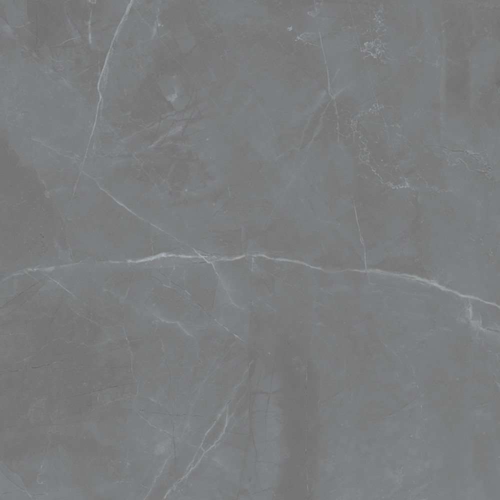 Керамогранит Maciej Zien Grey Pulpis Pol, цвет серый, поверхность полированная, квадрат, 1198x1198
