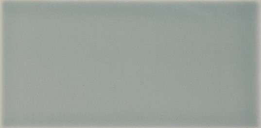 Керамическая плитка Dar Ceramics Biselado Liso Devon Fern Brillo, цвет серый, поверхность глянцевая, прямоугольник, 100x200