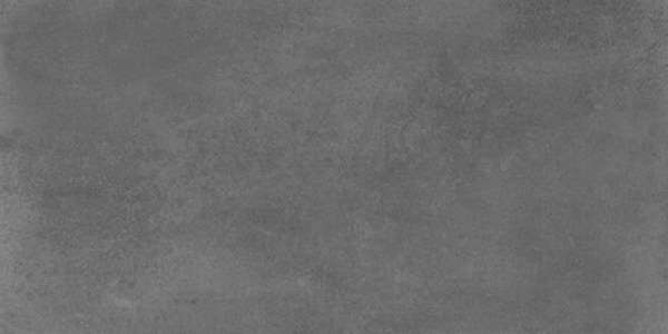 Керамогранит Fanal Evo Smoke Mat 120B006, цвет серый, поверхность матовая, прямоугольник, 600x1200