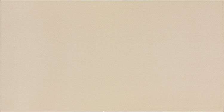 Керамическая плитка Tecniceramica Lorette Noa Moka, цвет коричневый, поверхность глянцевая, прямоугольник, 250x500