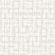 Мозаика Naxos Esedra Olimpia 2,5X2,5 Mosmosaico Su Foglio 95649, цвет серый, поверхность матовая, квадрат, 300x300