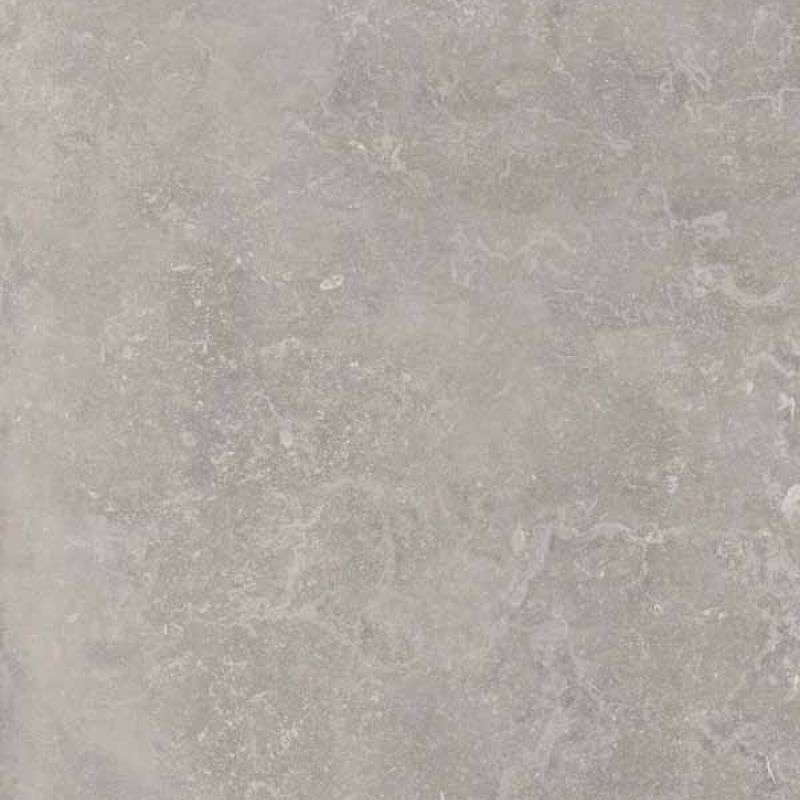 Керамогранит Ariana Memento Bruges Grey Nat PF60012333, цвет серый, поверхность натуральная, квадрат, 800x800