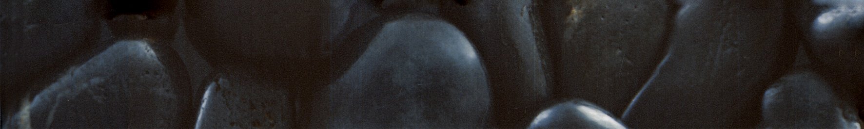 Бордюры Terracotta Бордюр Alba Spa, цвет чёрный, поверхность глянцевая, прямоугольник, 45x300