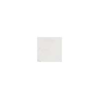 Спецэлементы Italon Charme Evo Wall Statuario Spigolo A.E. 600090000345, цвет серый, поверхность глянцевая, квадрат, 10x10