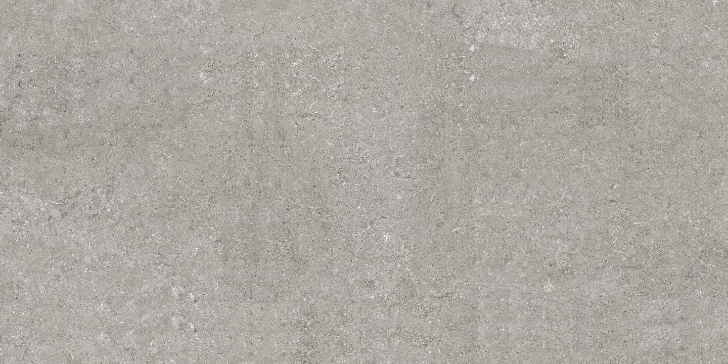 Широкоформатный керамогранит Casa Dolce Casa Sensi Grey Fossil 6mm 768581, цвет серый, поверхность матовая, прямоугольник, 1200x2400