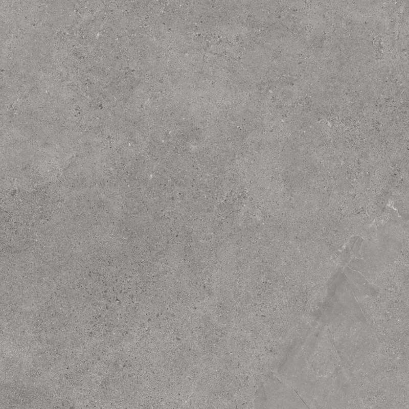 Керамогранит Paradyz Authority Grey Gres Szkl. Rekt. Mat, цвет серый, поверхность матовая, квадрат, 1200x1200