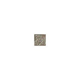 Вставки Versace Marble Toz Medusa Grigio Sab 240396, цвет серый, поверхность лаппатированная, квадрат, 27x27