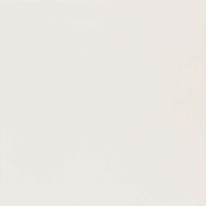Керамогранит Paradyz Intensiv Bianco Gres Szkl. Rekt. Mat, цвет белый, поверхность матовая, квадрат, 598x598