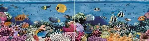 Панно Ceradim Reef Dec Panno, цвет разноцветный, поверхность глянцевая, прямоугольник, 250x900
