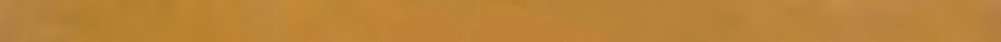 Бордюры ABK Wide & Style Mini List Colorful Ochre PF60000185, цвет коричневый, поверхность матовая, прямоугольник, 50x1200