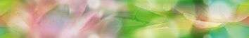 Бордюры Муза-Керамика Lotus B300D287, цвет зелёный, поверхность глянцевая, прямоугольник, 45x300