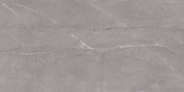 Керамическая плитка Laparet Savoy Тёмно-серый 08-01-06-2460, цвет серый, поверхность глянцевая, прямоугольник, 200x400