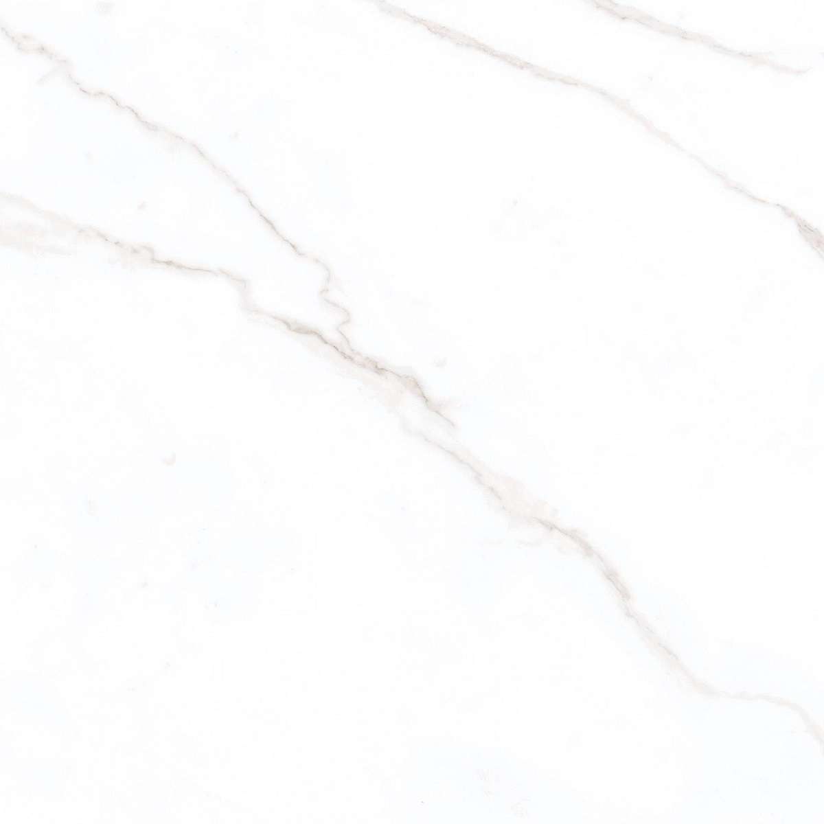 Керамогранит Belleza Calсutta Bianco 00-00000149, цвет белый, поверхность полированная, квадрат, 600x600