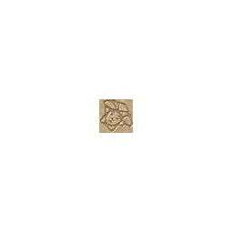 Вставки Versace Marble Toz Medusa Oro Sab 240392, цвет золотой, поверхность лаппатированная, квадрат, 27x27