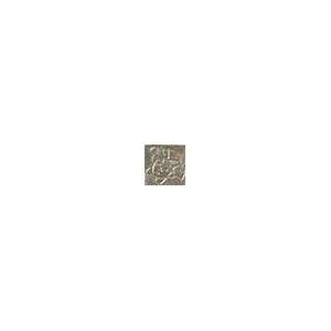 Вставки Versace Marble Medusa Greca Grigio 240766, цвет серый, поверхность лаппатированная, квадрат, 27x27